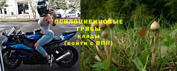 синтетический гашиш Богородск