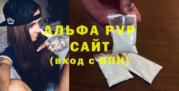 спайс Богданович