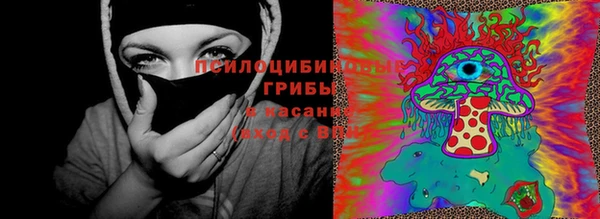 синтетический гашиш Богородск