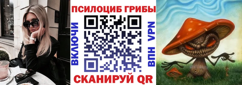 где можно купить   Облучье  Псилоцибиновые грибы GOLDEN TEACHER 